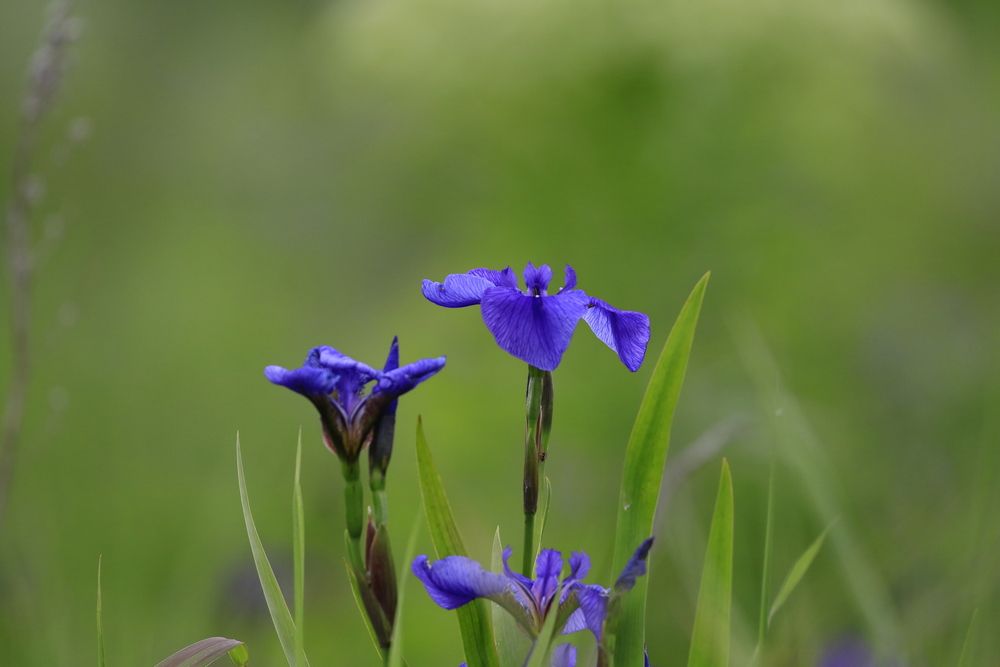 Фотография автора Наталья Турчик
