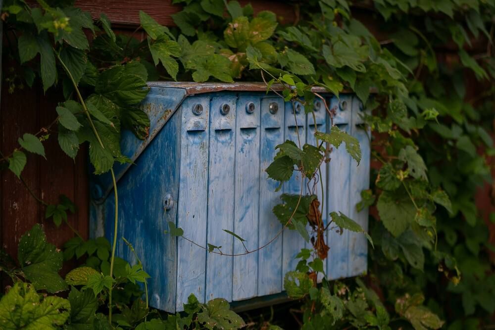 Photograph by Очева Наталья Александровна