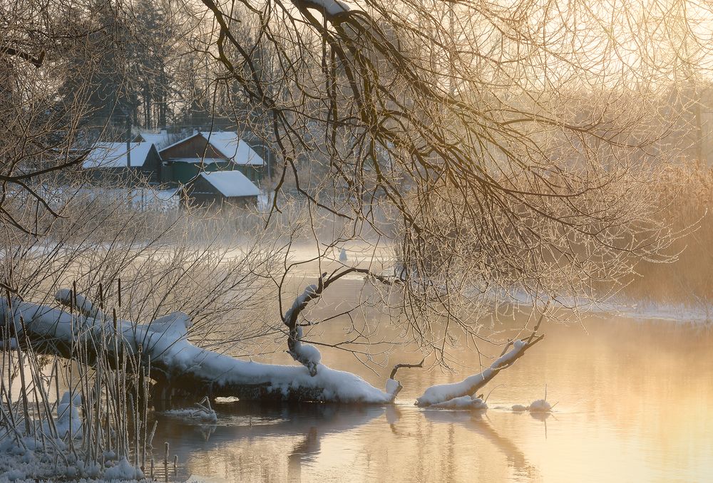 Photograph by Andrew Kuzmin