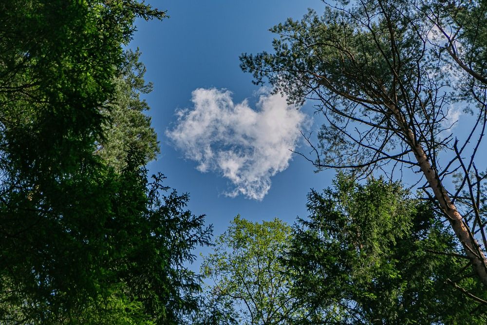 Photograph by Очева Наталья Александровна