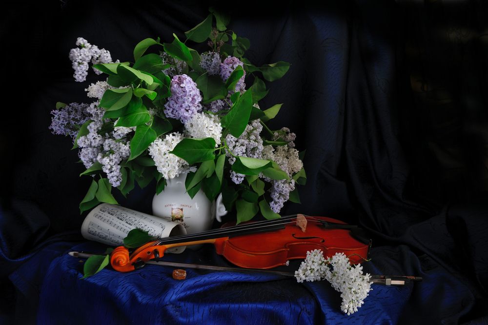 Фотография автора Оксана Саранова