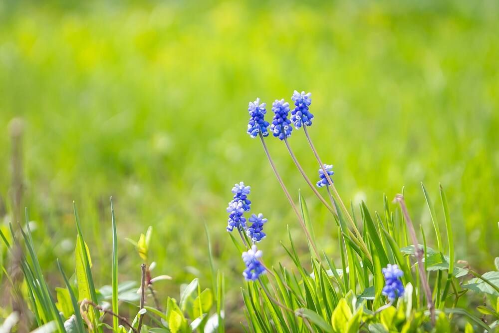 Photograph by Очева Наталья Александровна