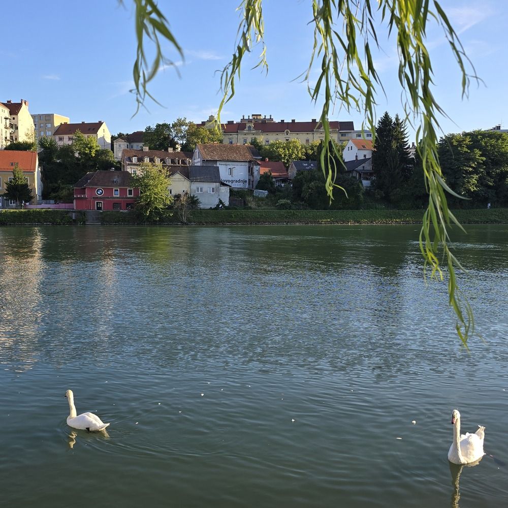 Фотография автора Yulia Rotbach