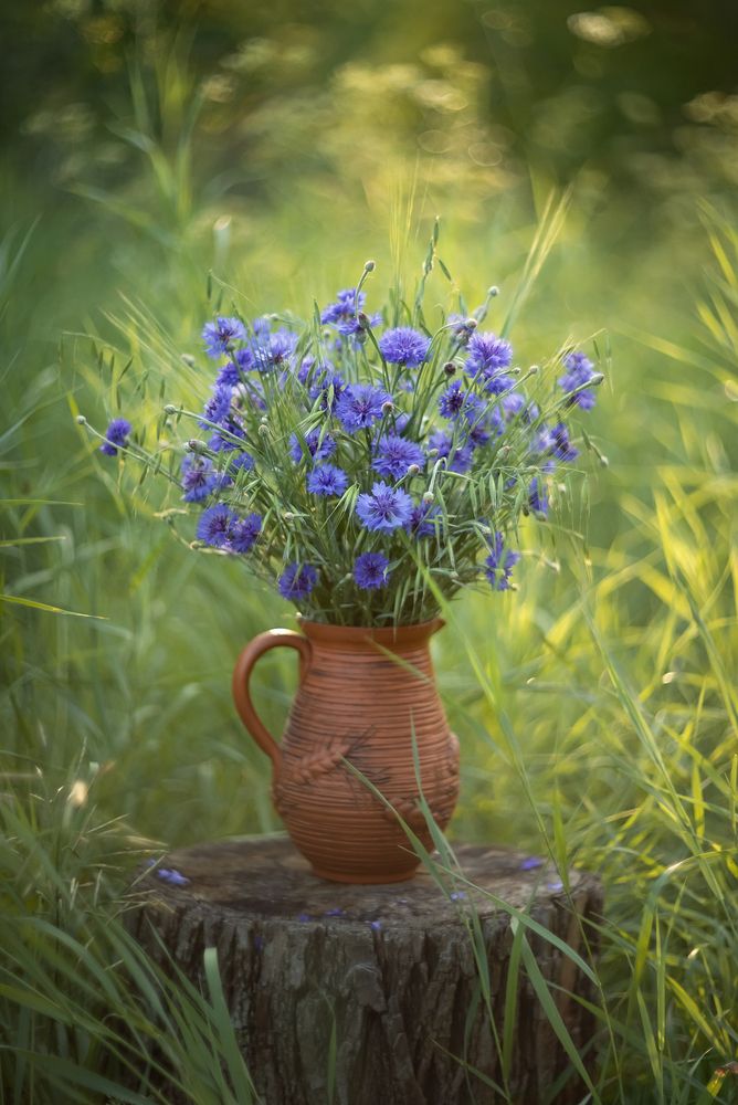 Photograph by Елена Косинова