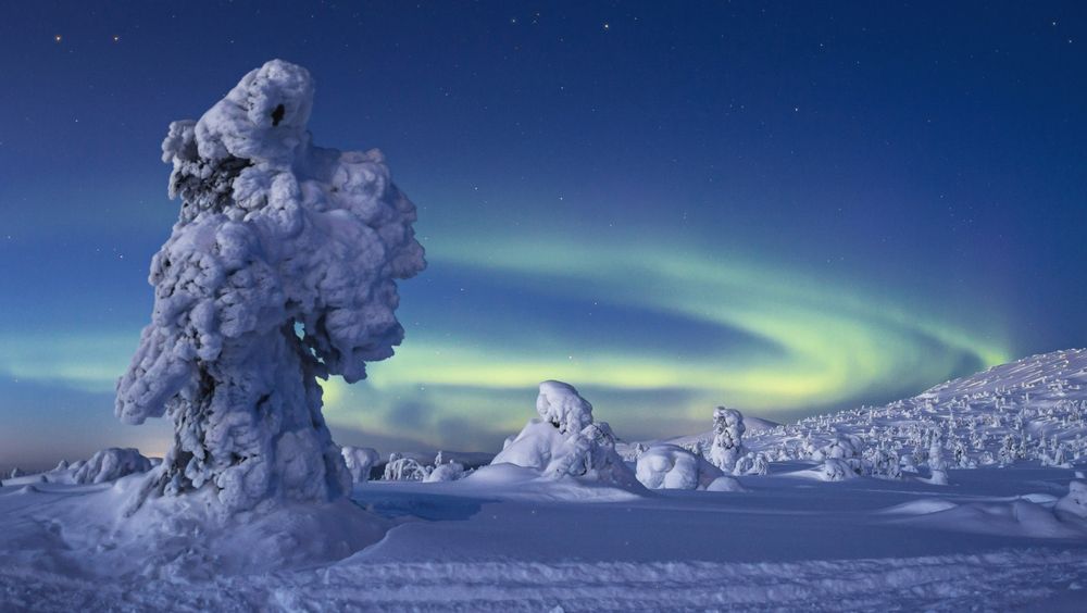 Photograph by Татьяна Кормашова