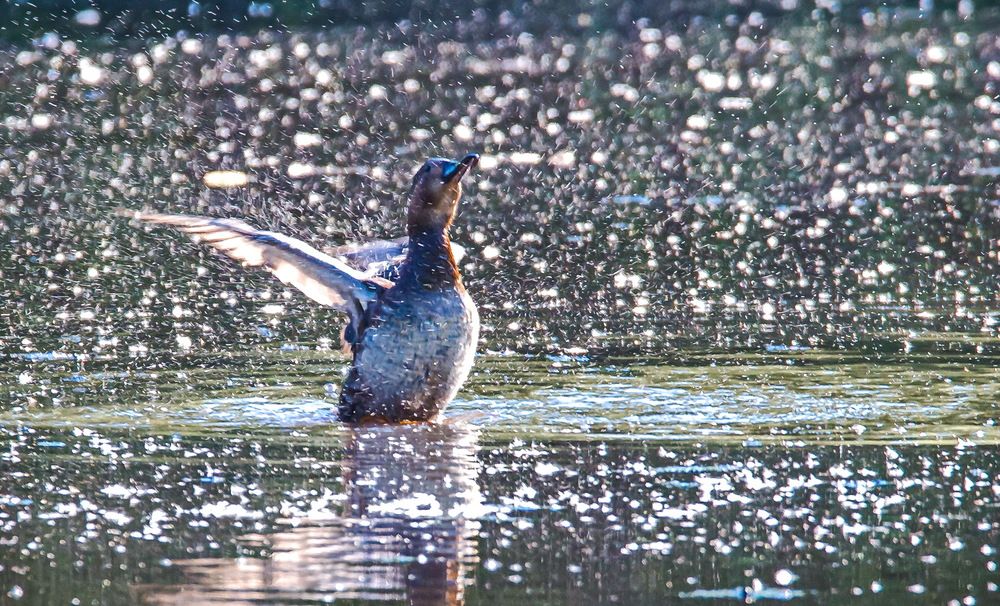 Photograph by Валерий Смирнов
