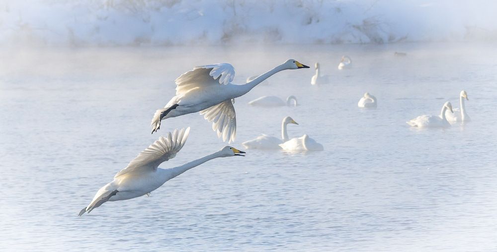 Photograph by Валерий Смирнов