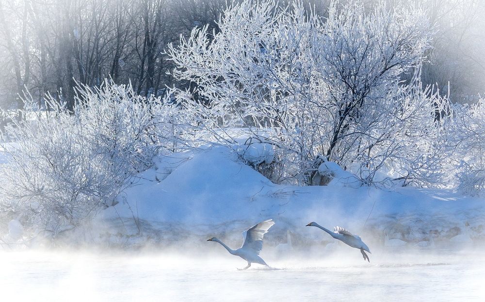 Photograph by Валерий Смирнов