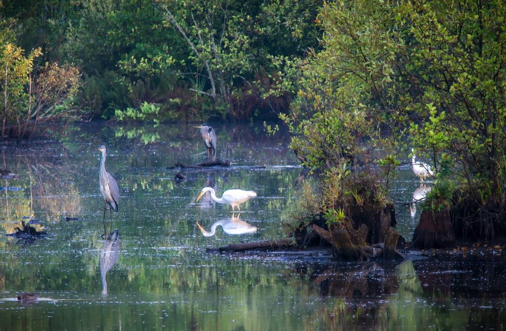 Photograph by Валерий Смирнов