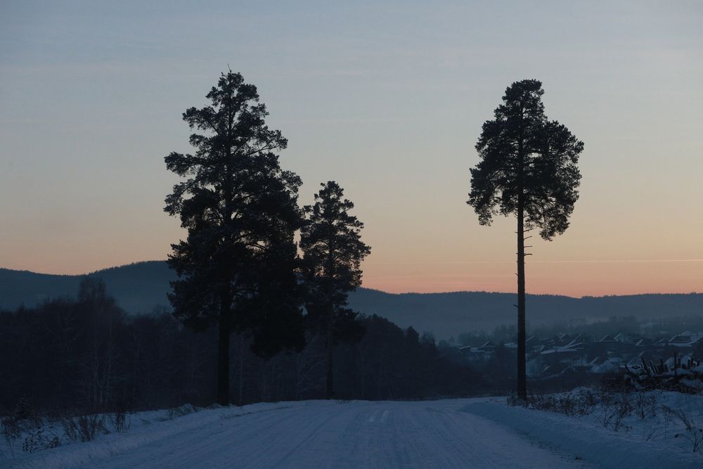 Photograph by Максим Ташкинов