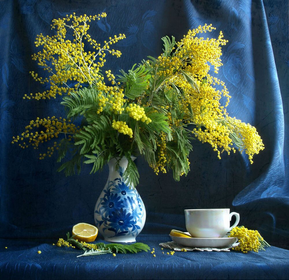 Фотография автора Оксана Саранова