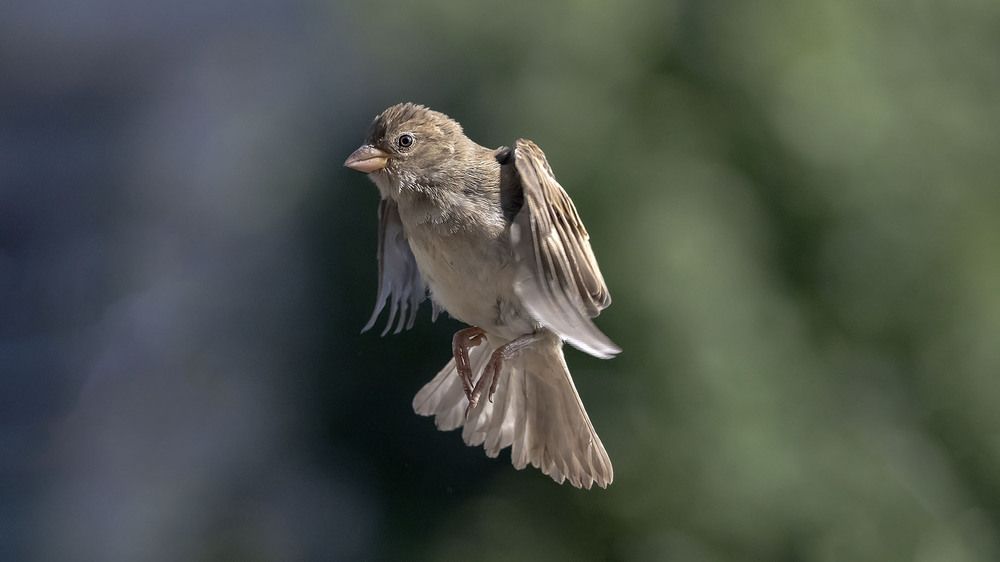 Photograph by Олег Борисович