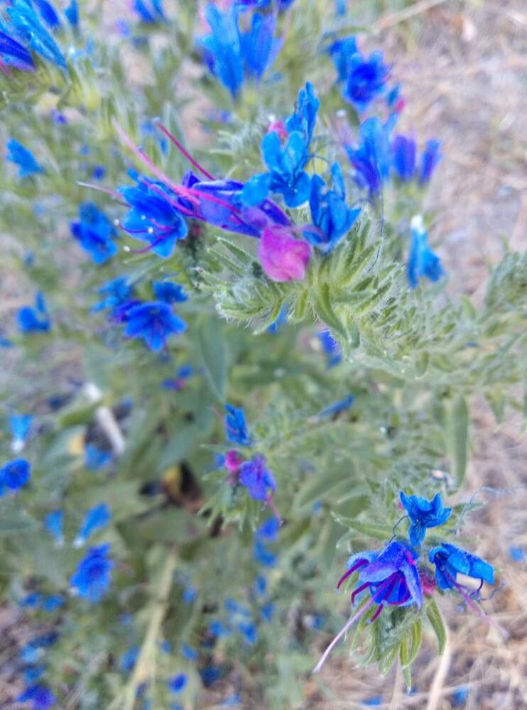 Photograph by Ирина Рягузова