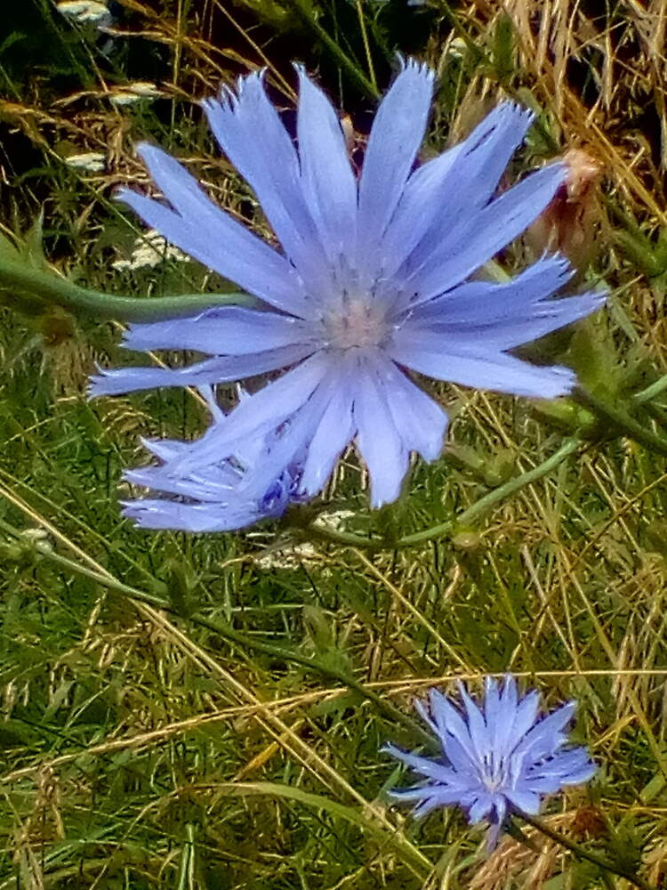 Photograph by Ирина Рягузова