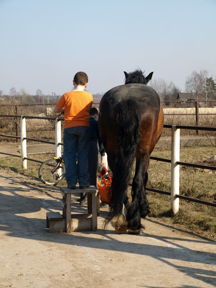 Photograph by Оксана Саранова
