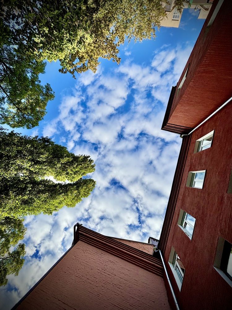 Photograph by Михаил Коган