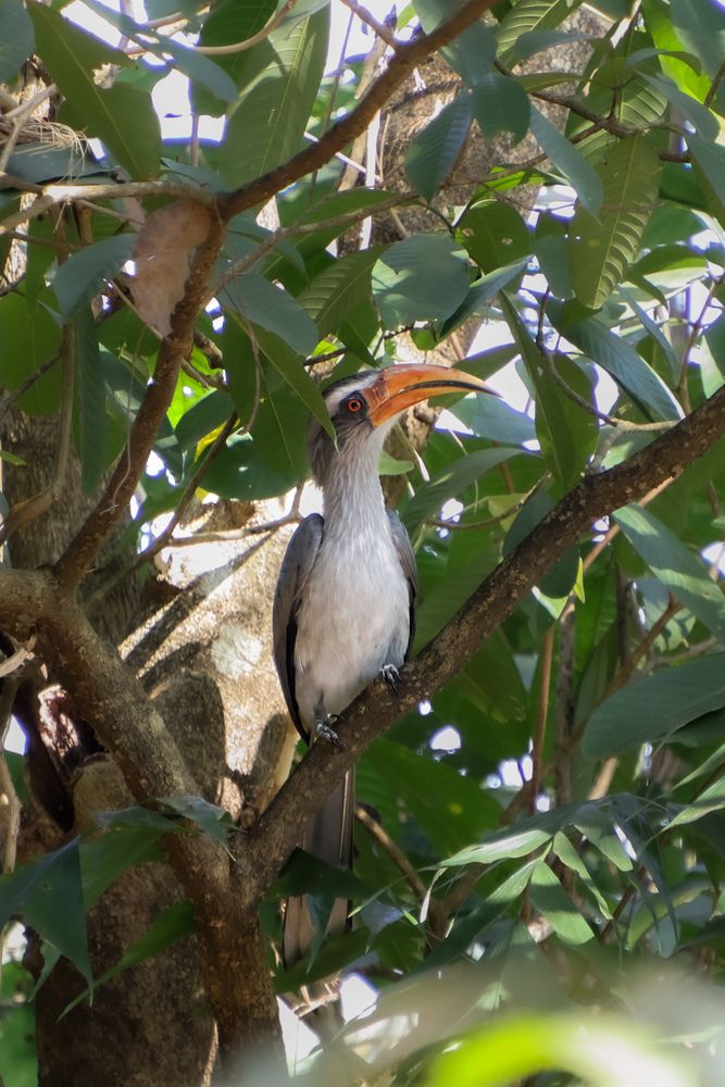 Photograph by Tanaya Manohar Dhuri