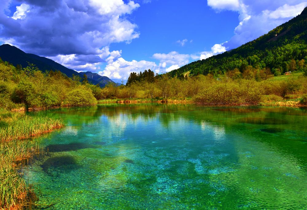 Photograph by Ružica