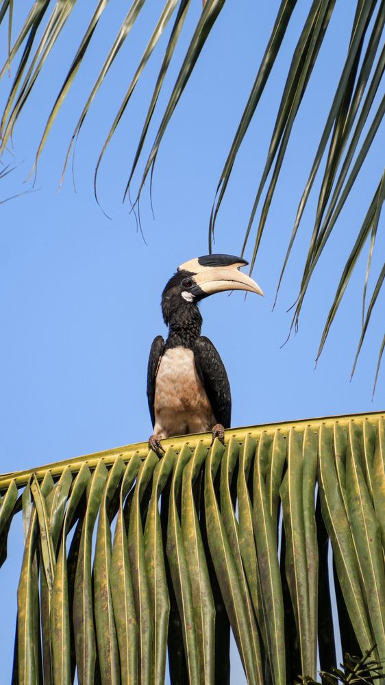 Photograph by Tanaya Manohar Dhuri