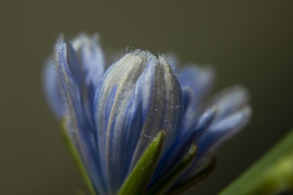 Photograph by Ирина Шибитова