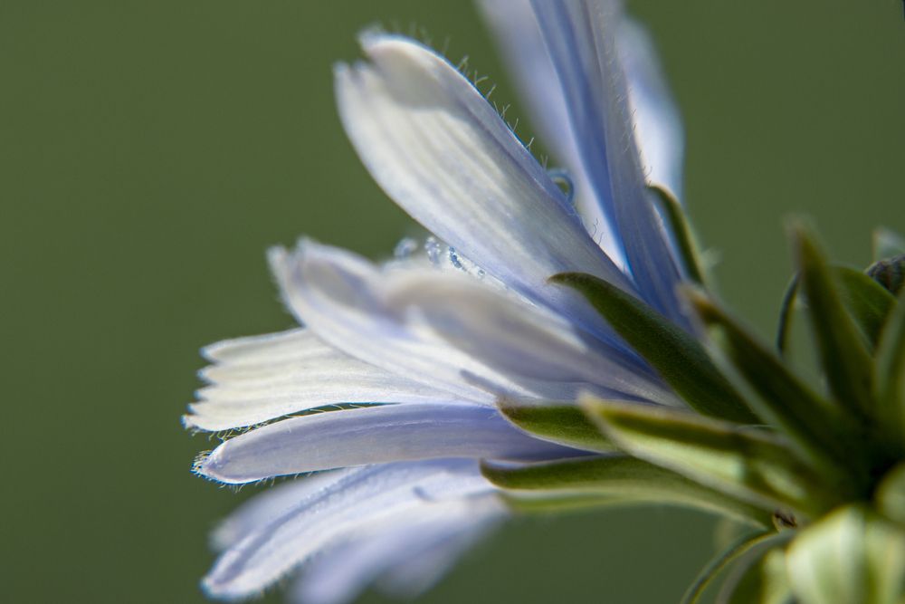 Photograph by Ирина Шибитова