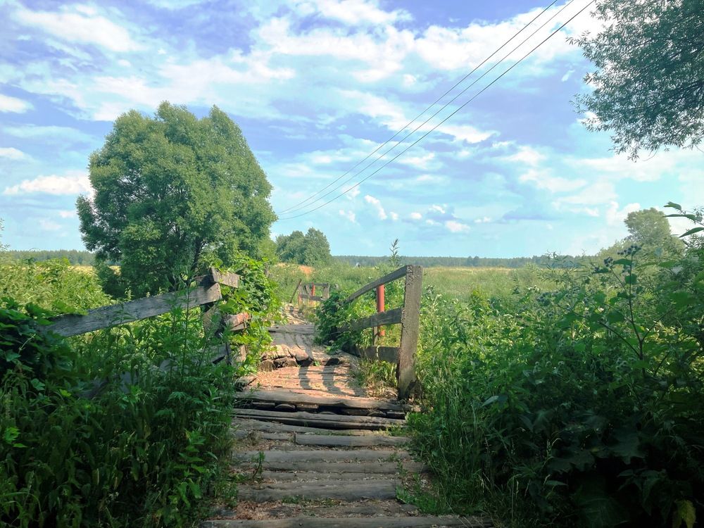 Photograph by Светлана Парамонова