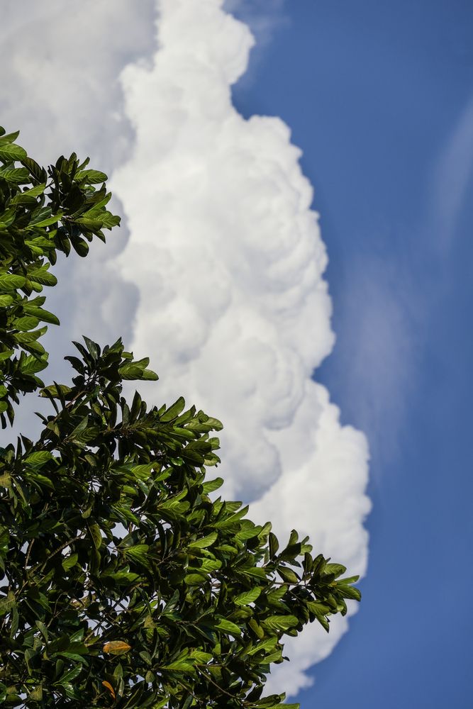 Photograph by Tanaya Manohar Dhuri