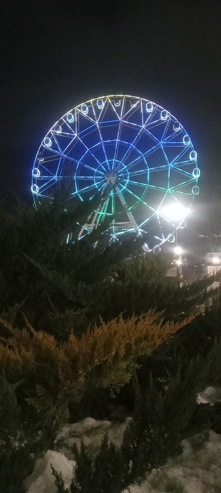 Photograph by Ирина Рягузова