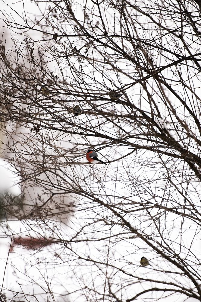 Photograph by Светлана Ермакова