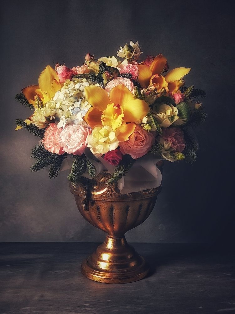 Photograph by Елена