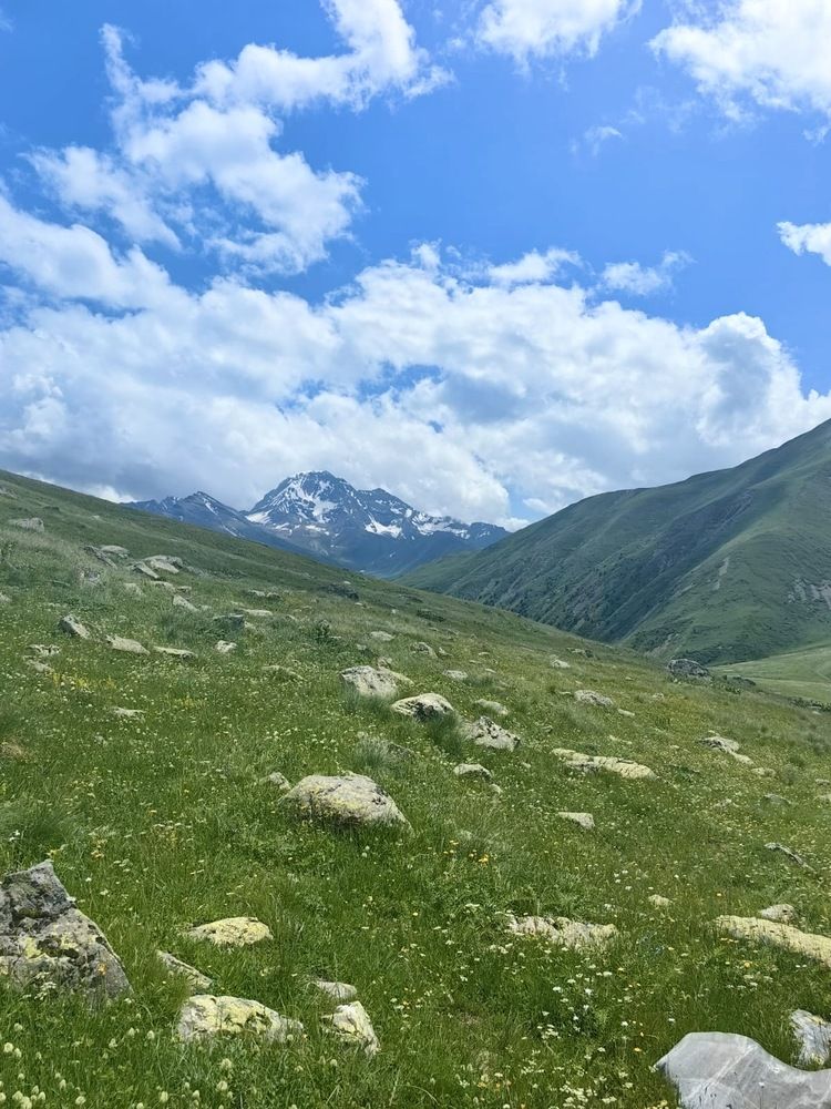Photograph by Наталья