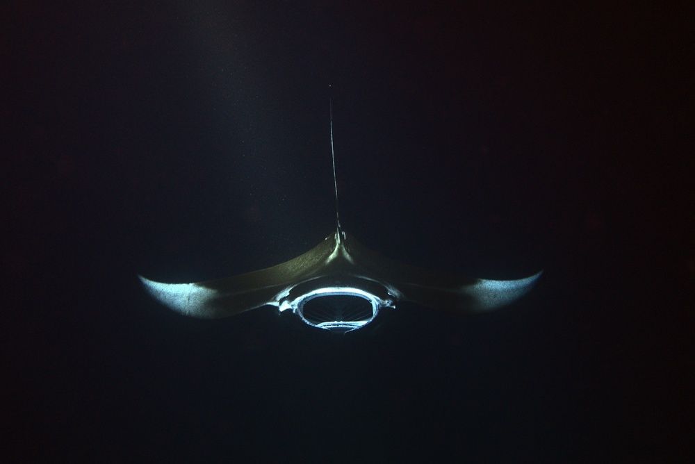 Mathematics of the Ocean