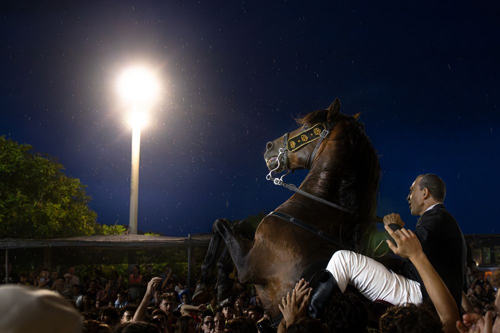 Фотография автора Matteo Botta