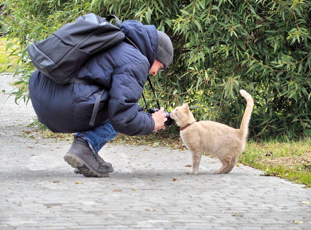 Photograph by Надежда Васильева
