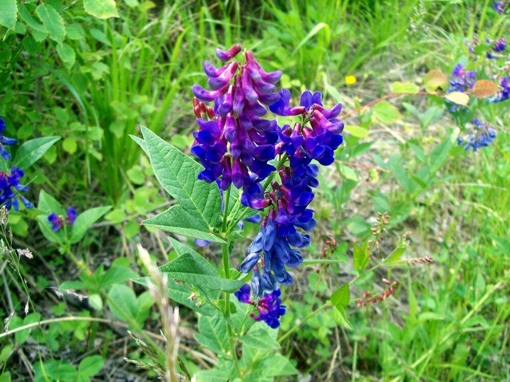 Photograph by Мигун Александра