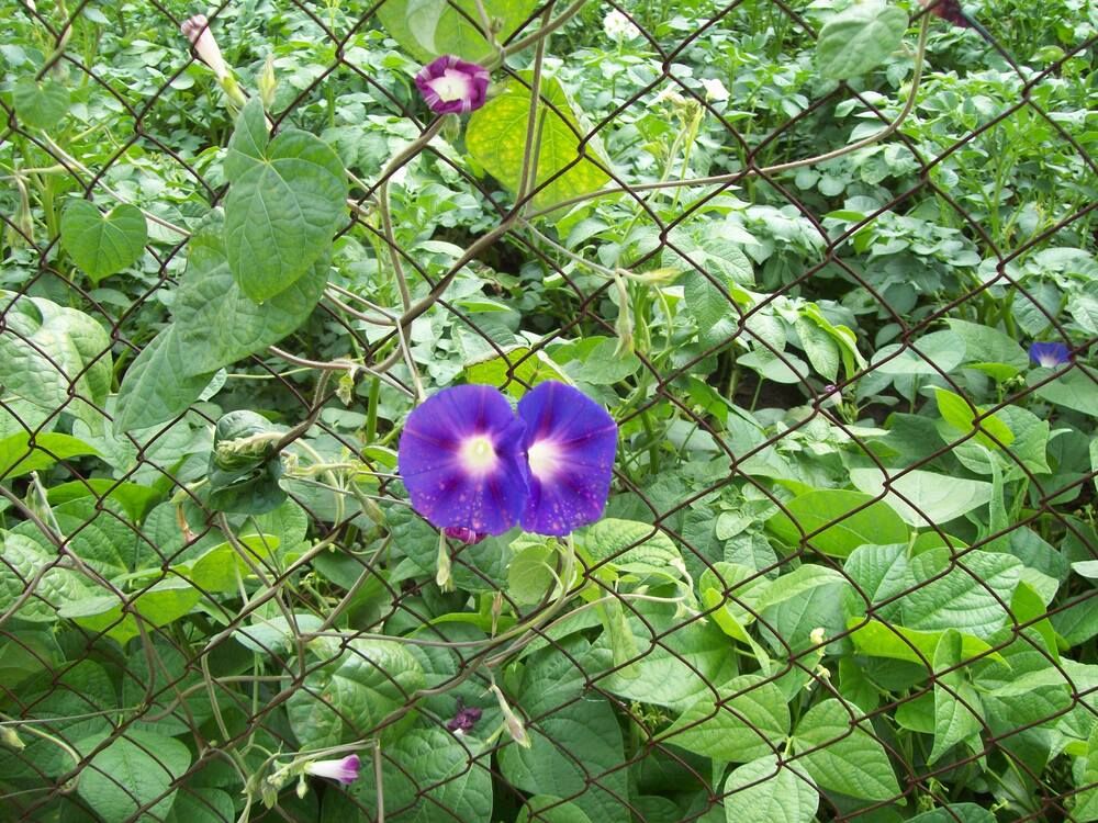 Photograph by Мигун Александра