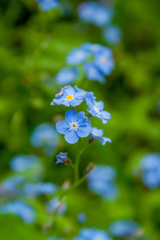 Photograph by Ольга Заповедная