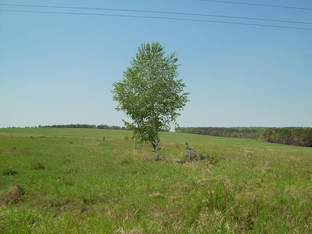 Photograph by Мигун Александра