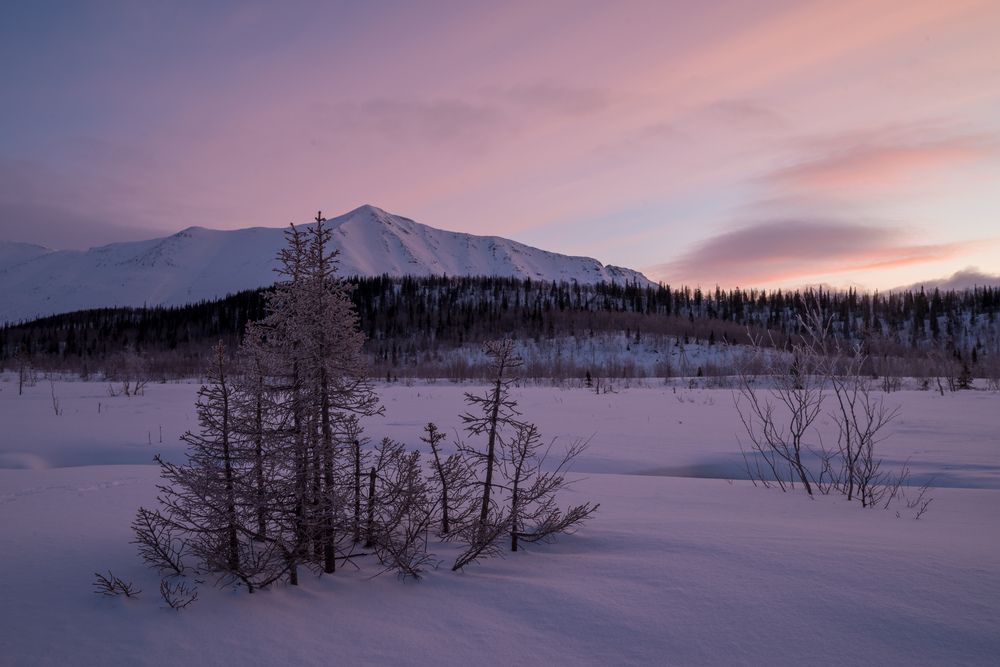 Фотография автора Илья Большаков