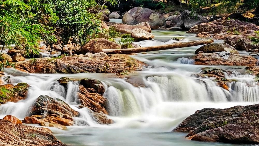 Photograph by Bryan Lee