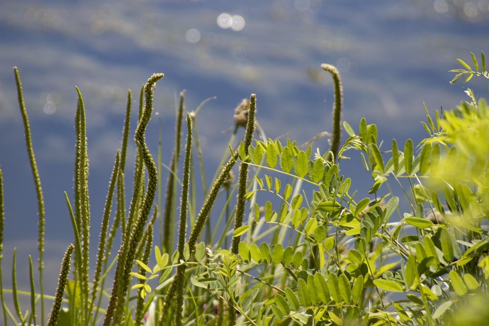 Photograph by Ирина Шибитова