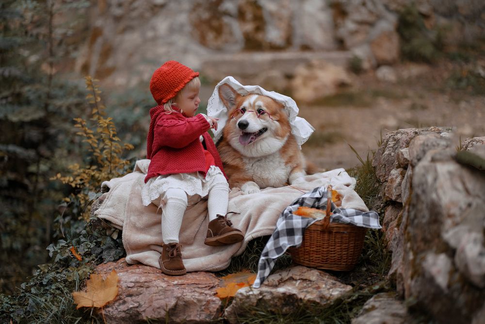 Фотография автора Заручевская Надежда