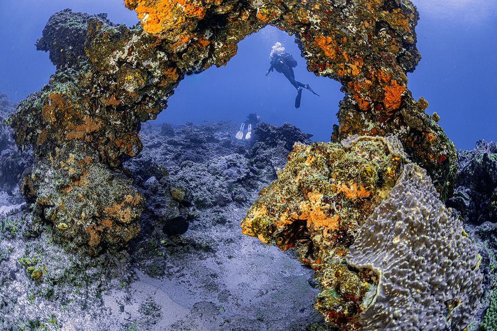 Photograph by Peet J Van Eeden