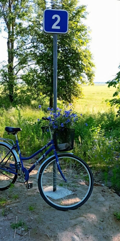Фотография автора Ольга Антонюк