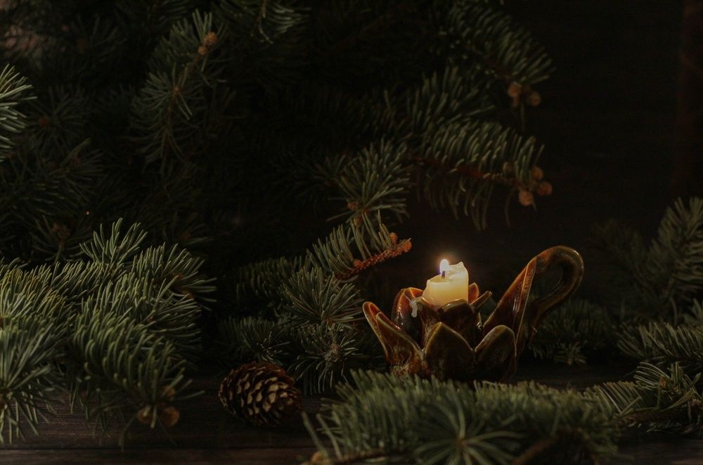 Photograph by Анна Зайченко