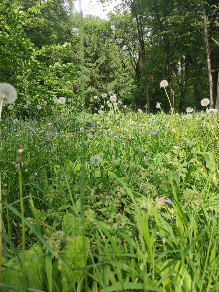 Photograph by Lena Semenova