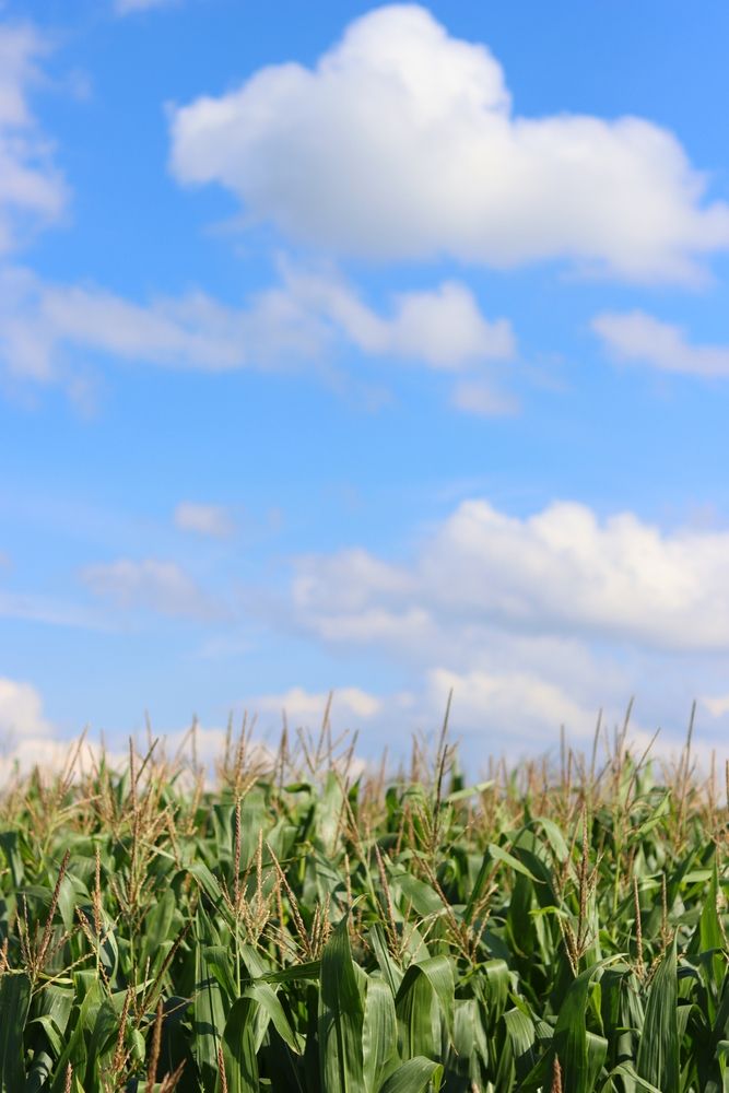 Photograph by Мария Толкачёва