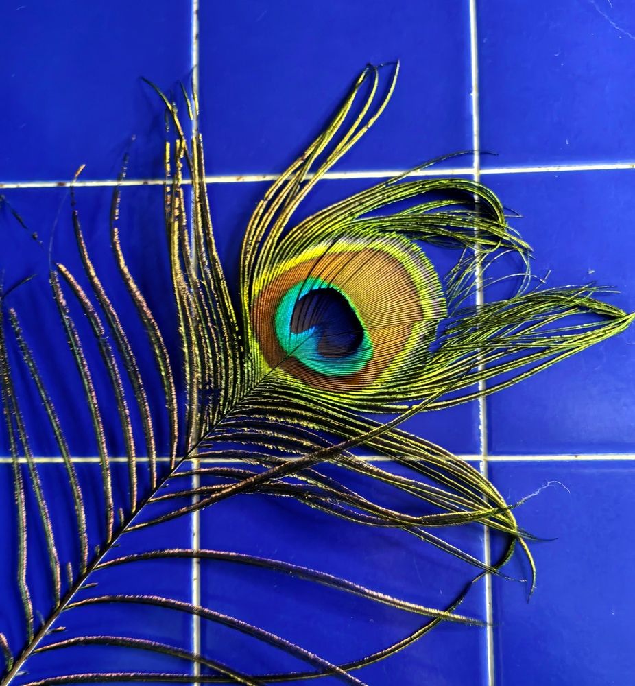 Photograph by Olga Kot