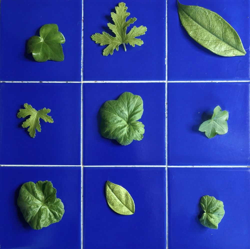 Photograph by Olga Kot