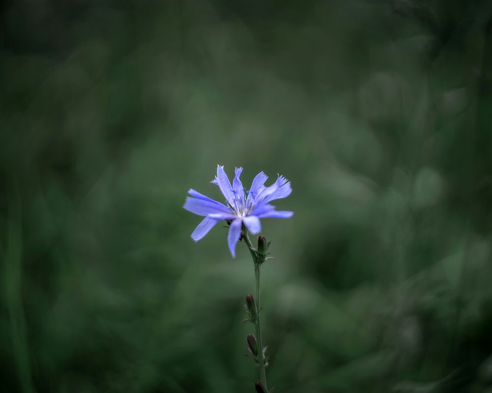 Photograph by Людмила Завьялова